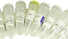 Xyloglucal dimethyl ether/Virgulinol aldehyde/Vanillin methyl ether