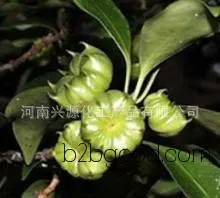 小茴香提取物，八角提取物，茴香醚，茴香醛。