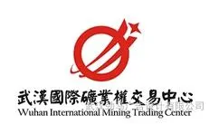Provide Wuhan LOGO design, Wuhan corporate trademark design, corporate image VI design,