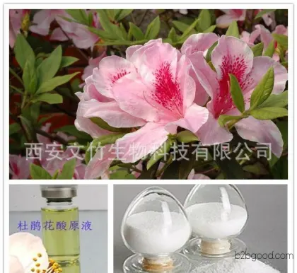 Cosmetic-grade Azelaic Acid 99% Whitening and Acne Treatment, Skin Care Antibacterial, Rhodophenic Acid