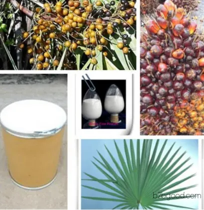 Saw Palmetto Extract (Fatty acid) 25%, 45%, 90% in stock, quality assurance