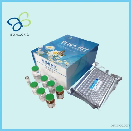 Human Fatty Acid Binding Protein Type 4 (FABP4) Elisa Kit