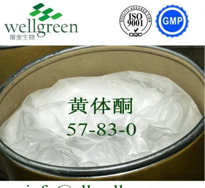 Manufacturer's high-quality, high-purity 99% progesterone, 57830, sex hormones,