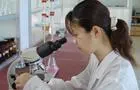 Technology: Dimethyl sebacate (DMS) can be dispensed separately.