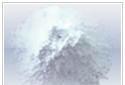 Chemical Industry > Carbohydrates > Industrial Starch Potato Starch