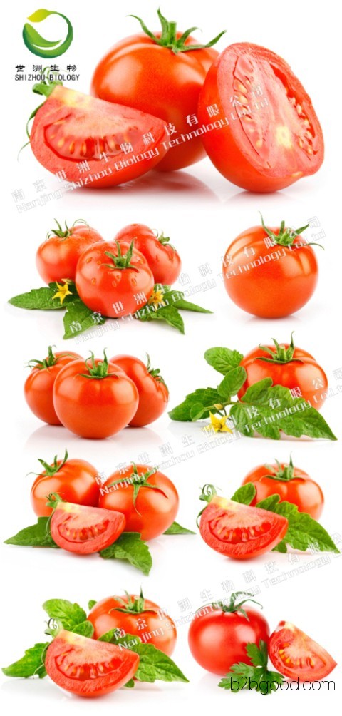 3.6 Sinapoyl Sucrose, professionally customized pure natural extracts, high-content standard products available for bulk orders
