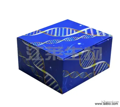 Testosterone ELISA Kit