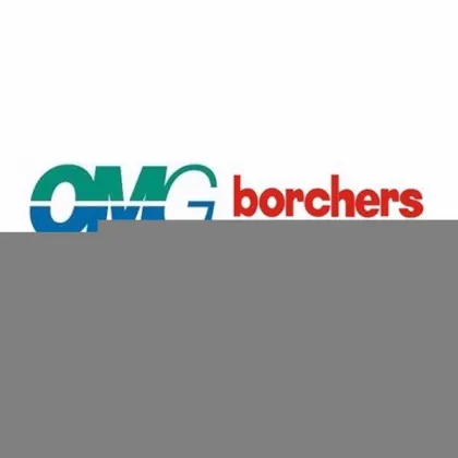 BorchersAscinin Nox M2 Methylketoxime Anti-skinning Agent Ascinin Nox M2