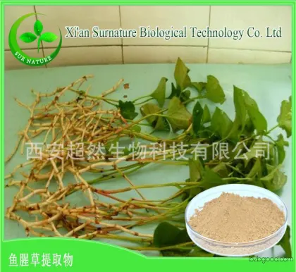 Factory direct sales, Houttuynia extract, pure natural plant