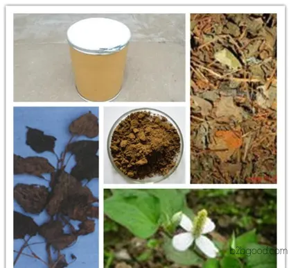 Professional phytopreparation manufacturer offers ready-to-use products for clearing heat and detoxifying, reducing swelling and expelling pus. 10:1 houttuynin extract