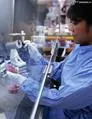Technology 3-Aminobenzyl Alcohol 1877776 534547