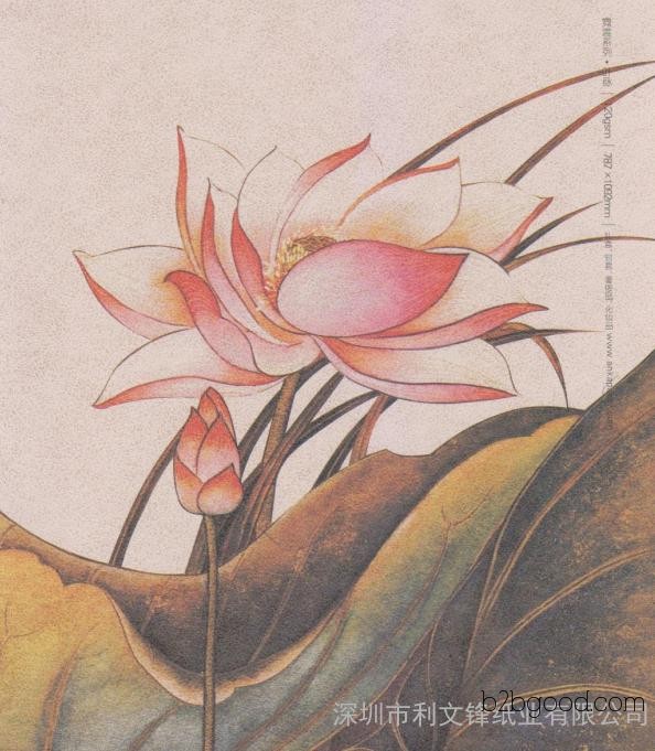 安卡品牌  艺术纸批发：叶脉纸、织女星、皇朝纹纸、烫透纸、云萱纸、麻布纸、触感纸、彩菱纸、雪点纸、桑麻纸、稻草纸、涟漪纸