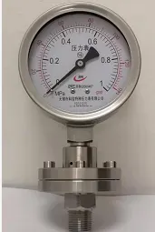 Stainless steel pressure gauge for petroleum drilling and chemical industry