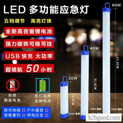 Picture lighting LED multi-function emergency light