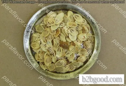 Persian Hogweed(Golpar)