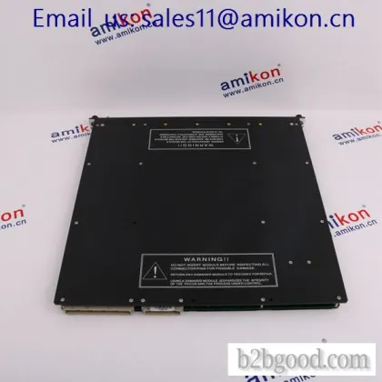 Выключатель TRICONEX SchNEIRE 3700A β с высокой производительностью DMM содержит шесть слотов