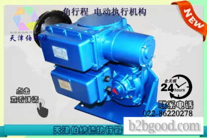Tianjin Bernard SD Series B+RSY250/F40H Intelligent Angular Movement Electric Actuator