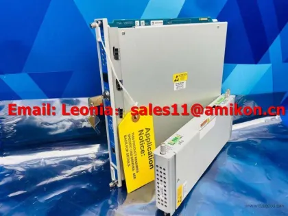 贝特利·内瓦达 330709000050100200 PLC MODULE