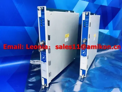 · 大型清单 3177313-02 __________________________________________________________________________________