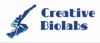 Protein/Antibody Bioconjugation