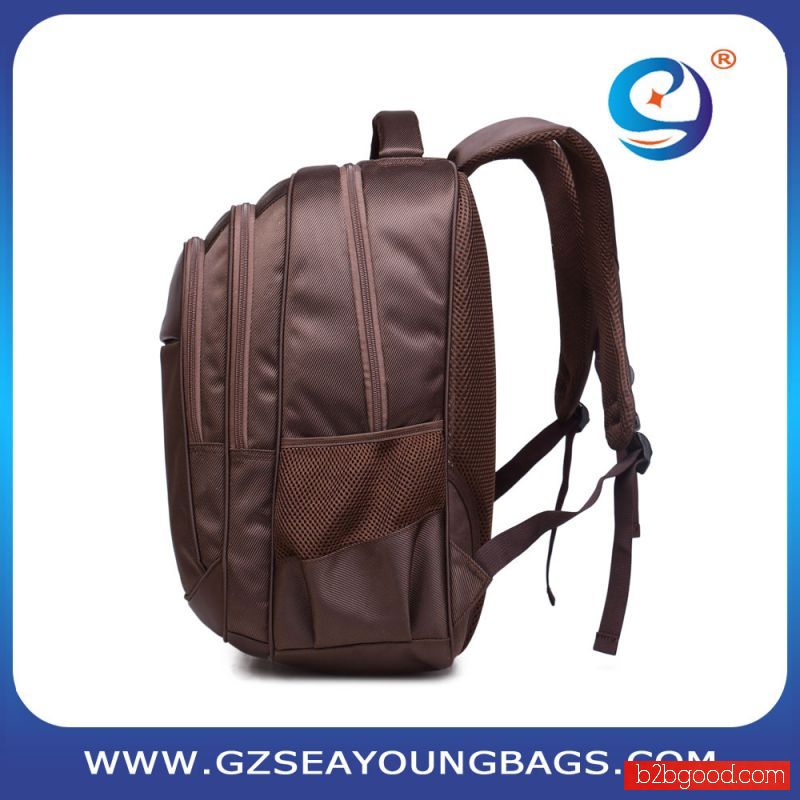 Professional business backpack