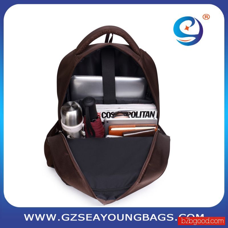 Professional business backpack