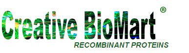 BAZ2B bromodomain TR-FRET Assay Kit