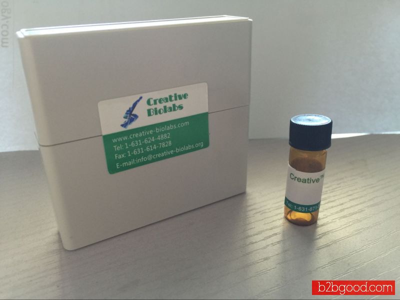 Recombinant Human Anti-human TXN Antibody Fab Fragment