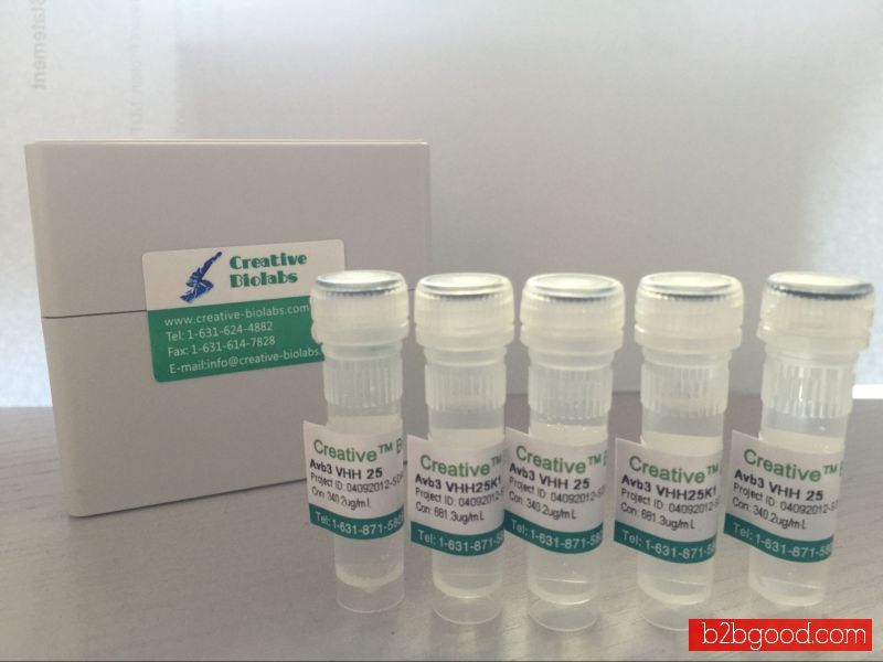 Recombinant Human Anti-human BAX Antibody Fab Fragment