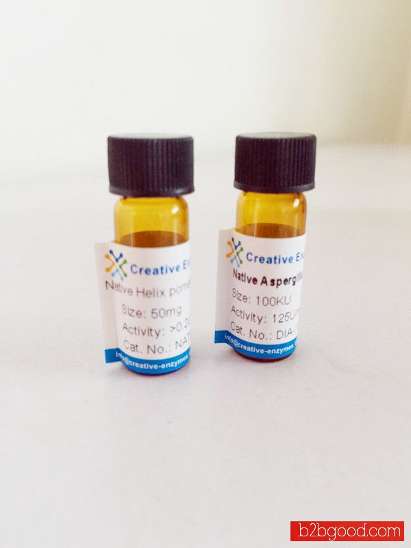 Neutral/alkaline protease for vegetable proteins