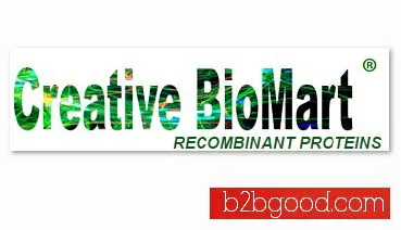 α-Amylase Assay Kit (Ceralpha Method)