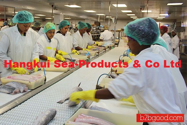 Nile Perch Fish Fillets