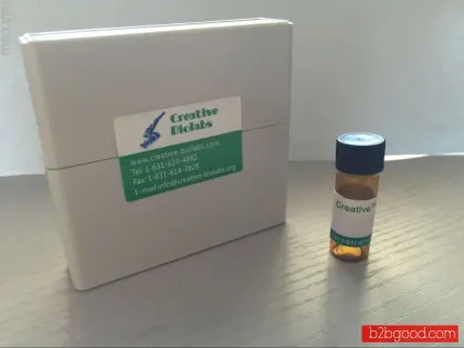 Recombinant Anti-BCMA × Anti-CD3 Bispecific Antibody (TandAb)
