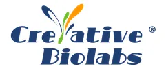 Antibody-Radioisotope Probes