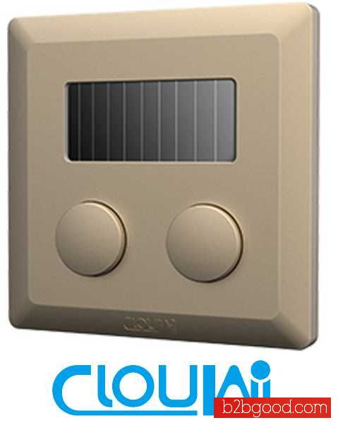 Two Double Way 2.4G Wall Wireless Switch For Lighting
