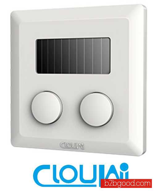 Two Double Way 2.4G Wall Wireless Switch For Lighting