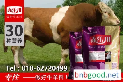 Chile Lechuan N650, Special Feed for Chile Lechuan Beef Cattle