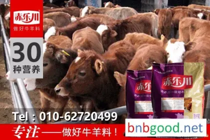 Chilechuan N350 Luxi Calves' Rapid Fattening Feed