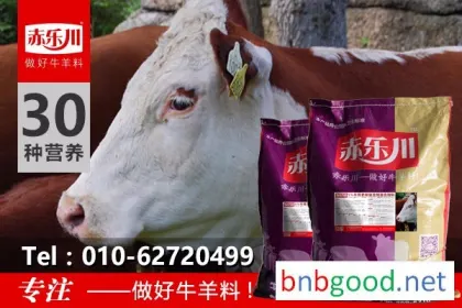 Chile Lechuan N650 Qinchuan Beef Cattle Fattening Feed
