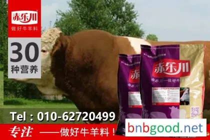 Chile Lechuan N650, Special Beef Cattle Feed for Chile Lechuan
