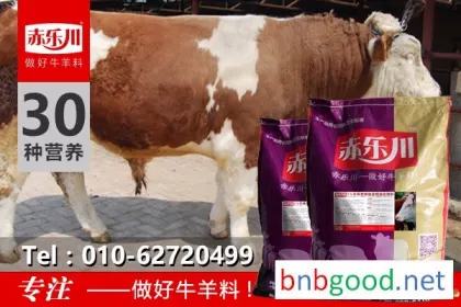 Chile Lechuan N650 Fattening Cattle Feed