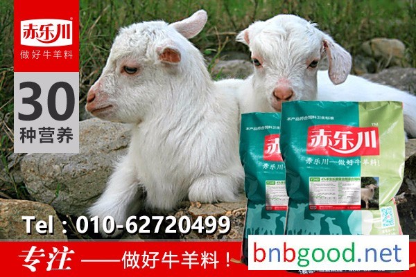 Chilechuan Y340 Compound Feed for Lambs