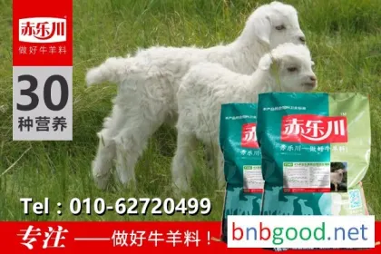 Chilechuan Y340: What feed does a lamb eat?