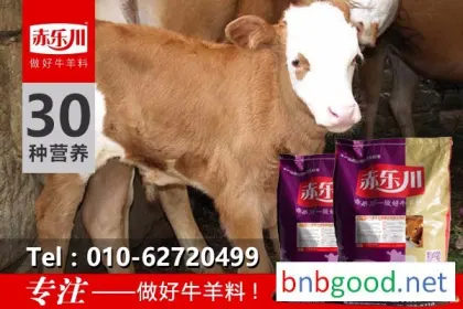 Chilechuan N350 Calf Feed for Fattening