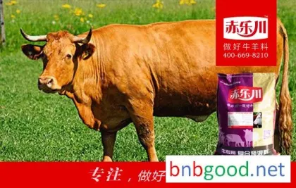 Local yellow cattle special premixed feed for post-weight gain, beef cattle feed