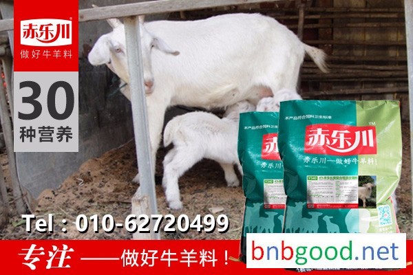 Feeding for lambs