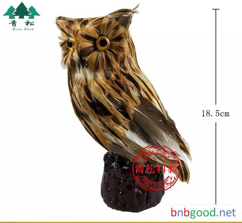 Owl Simulation Model J39102 Biological Instrumentation, Elementary Science Teaching Instrument