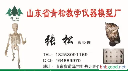 80302 Slide Slides for Middle School and High School Biology Instruments, Middle School Teaching Instruments, Experimental Equipment