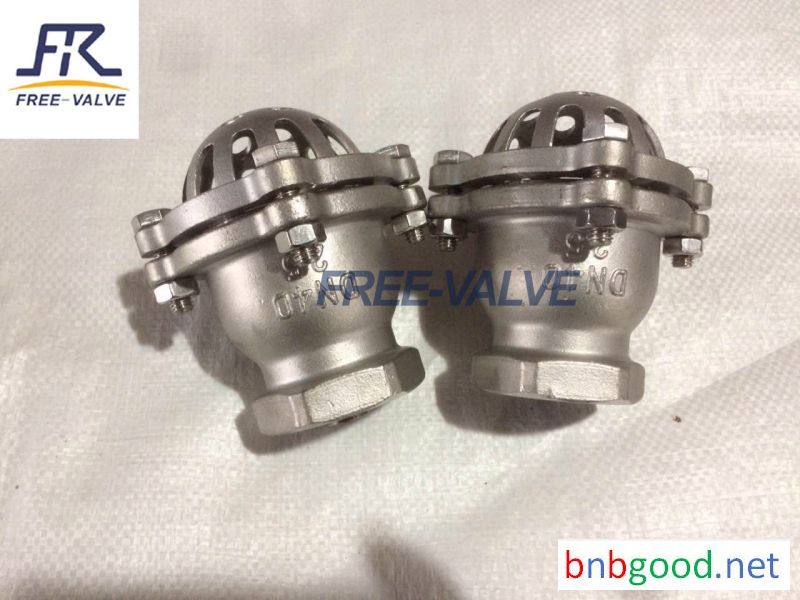 Bottom Valve Lift Check Valve Screwed Foot Valve