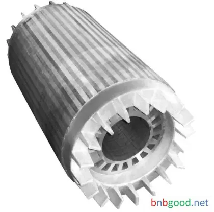 Motor Part Rotor for Explosion Proof Series